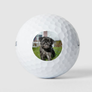 Balles De Golf Chiot en Carlin noir