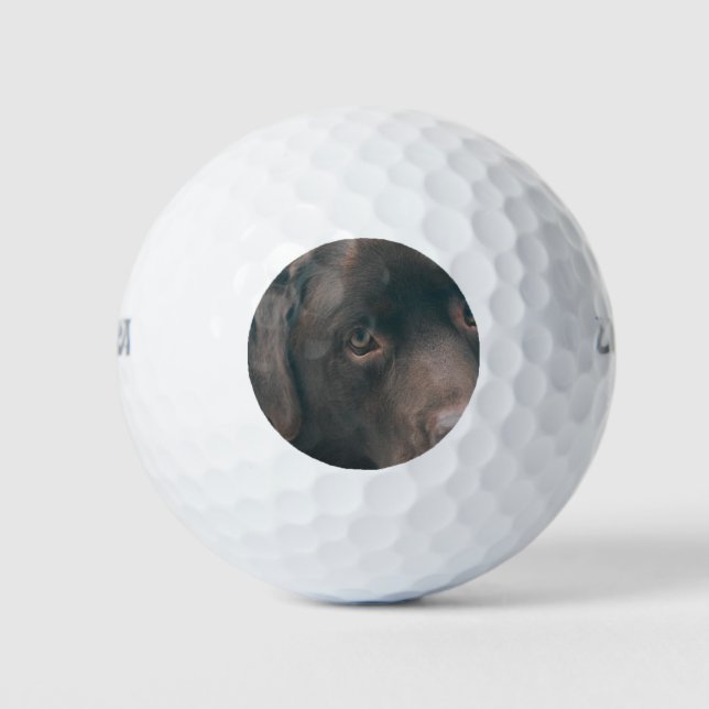 Balles De Golf chocolat-lab-14 (Devant)