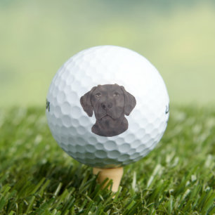 Balles De Golf Chocolat Labrador