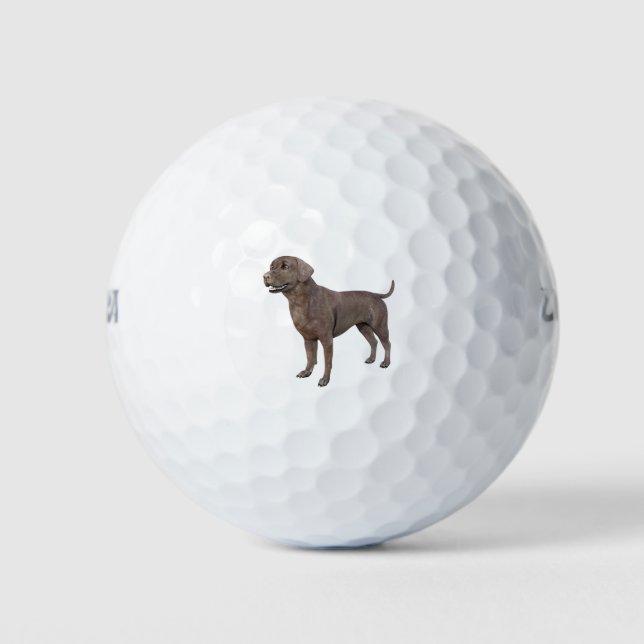 Balles De Golf Chocolat Labrador Chien debout (Devant)