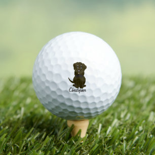 Balles De Golf Chocolat Labrador Chien Design