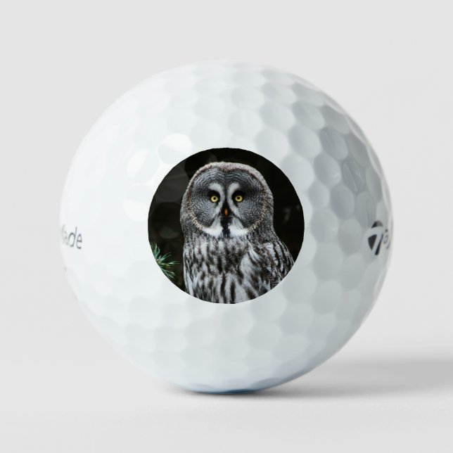 Balles De Golf Chouette grise tmtp5 gbcnm (Recto)