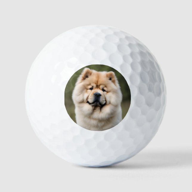 Balles De Golf Chow Chow (Recto)