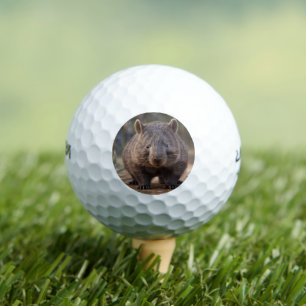 Balles De Golf Chubby The Australian Wombat,