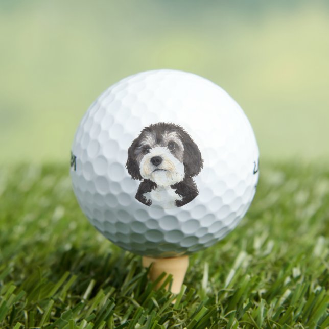 Balles De Golf Coaster de boisson Bernedoodle personnalisé (T-shirt Insitu)
