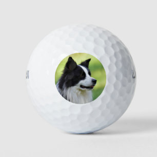 Balles De Golf Collie Chien noir et blanc