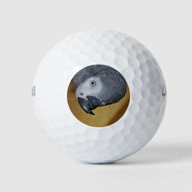 Balles De Golf Congo Afrique Grey Parrot Bonjour (Devant)