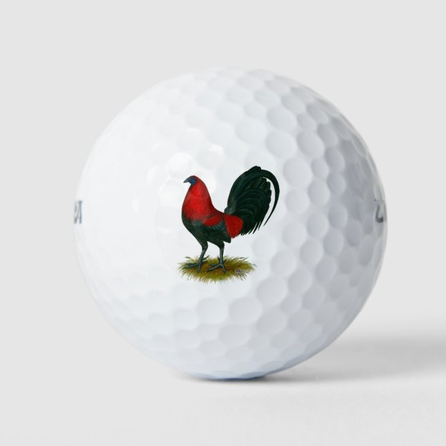 Balles De Golf Coq de combat américain :  Brun Rouge (Devant)