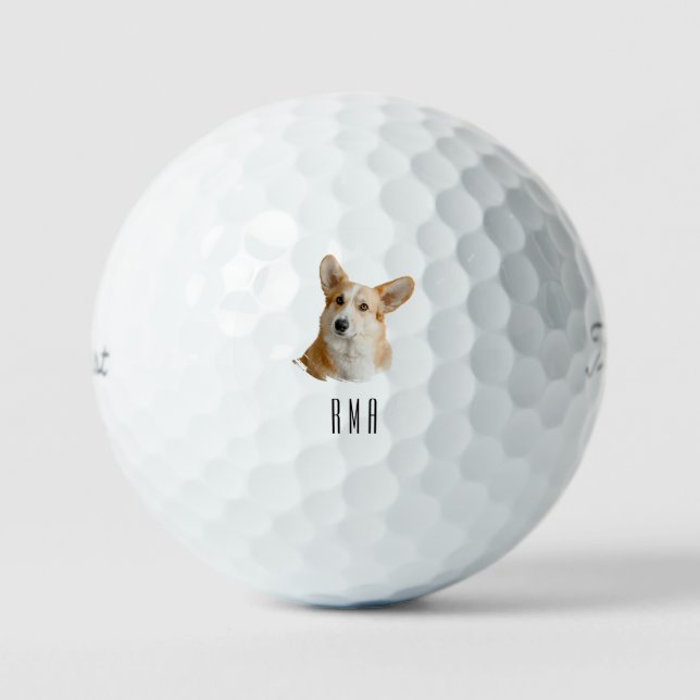 Balles De Golf Corgi (Recto)