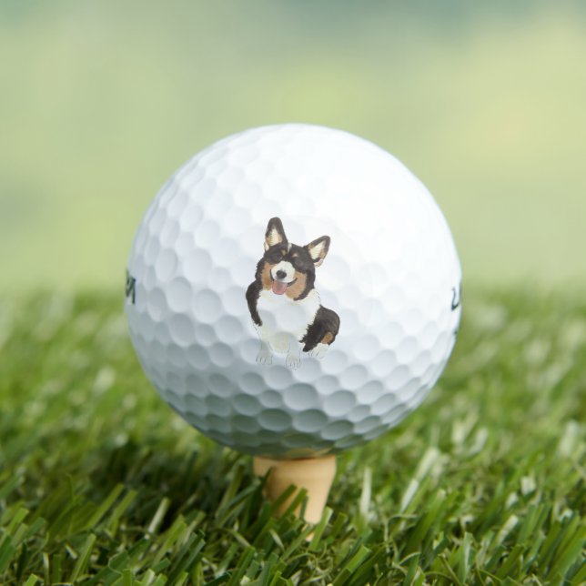 Balles De Golf Corgi à tête noire (T-shirt Insitu)