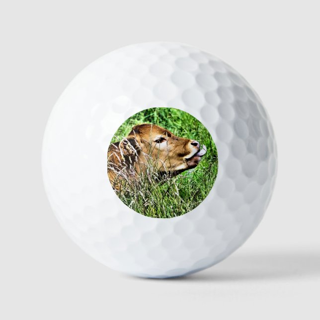 Balles De Golf COW Cute (Recto)