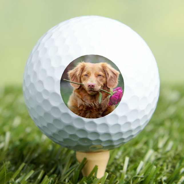 Balles De Golf Créez votre propre photo (Create your Own Photo Golf Balls)