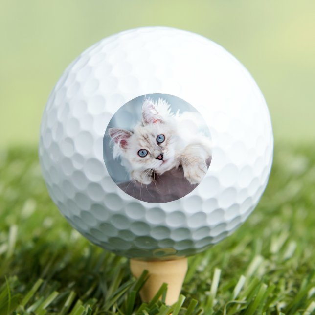 Balles De Golf Créez votre propre photo d'animal de compagnie (Create your Own Photo Golf Balls)