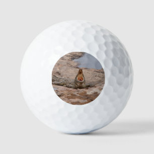 Balles De Golf Crocodile d'Afrique - rivière Masai