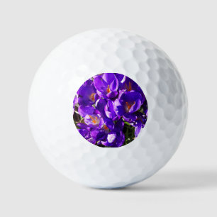 BALLES DE GOLF CROCUS DE PRINTEMPS