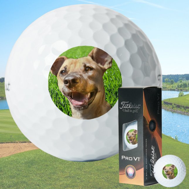 Balles De Golf Custom Golf Balls With Dog Picture Create Your Own (Créateur téléchargé)