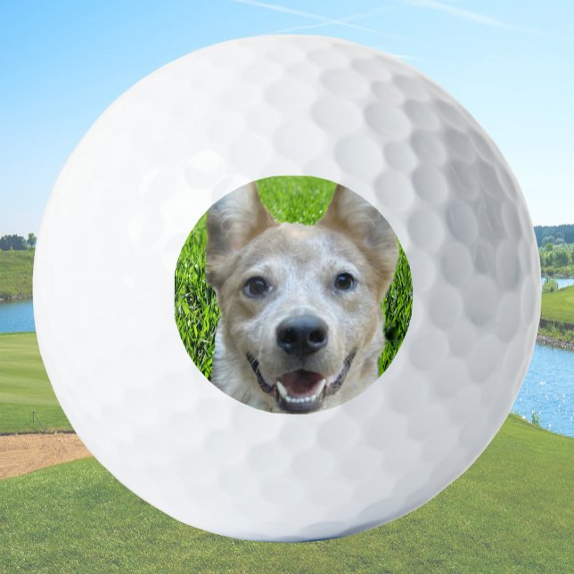 Balles De Golf Custom Golf Balls With Dog Picture Create Your Own (Créateur téléchargé)