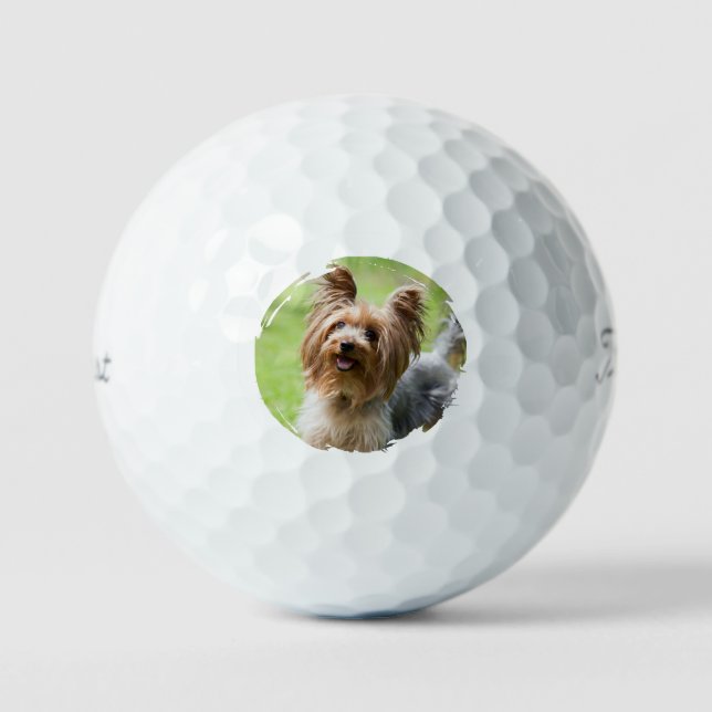 Balles De Golf Customizable Pet Photo Pet Parents Golf Lover Gift (Recto)