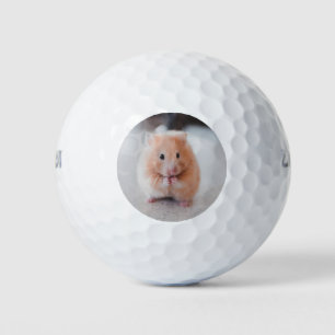 Balles De Golf Cute Hamster Aimer Animaux