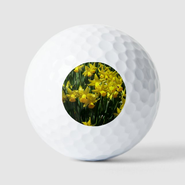 Balles De Golf Daffodiles Jaunes I Fleurs De Printemps Cheveux (Recto)