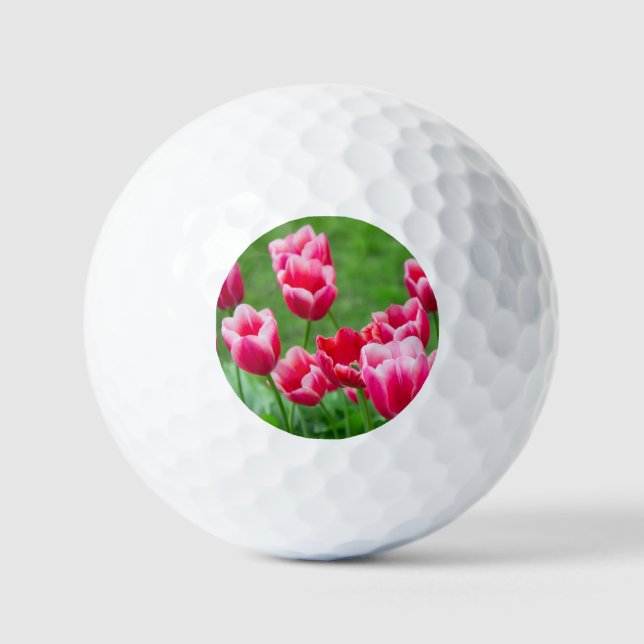 Balles De Golf De mignonnes tulipes écarlate dans le jardin (Recto)