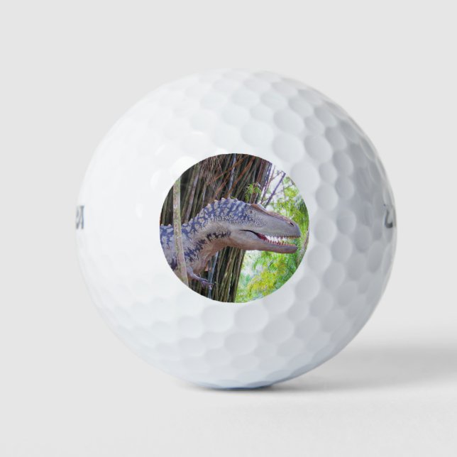 Balles De Golf Dinosaur Amusant - Daspletosaur Golf Balls (Devant)