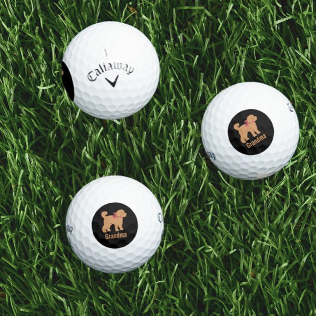 Balles De Golf Doigt tan personnalisé Chien sur noir (Personalized golf balls!)