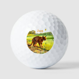 Balles de Golf Drôles de Gros Chat