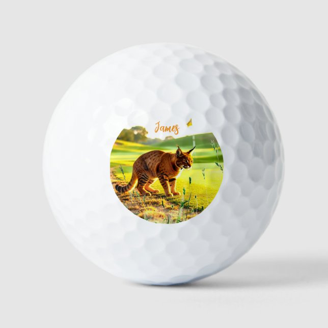 Balles de Golf Drôles de Gros Chat (Recto)