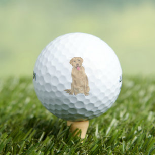 Balles De Golf Dudley Labrador
