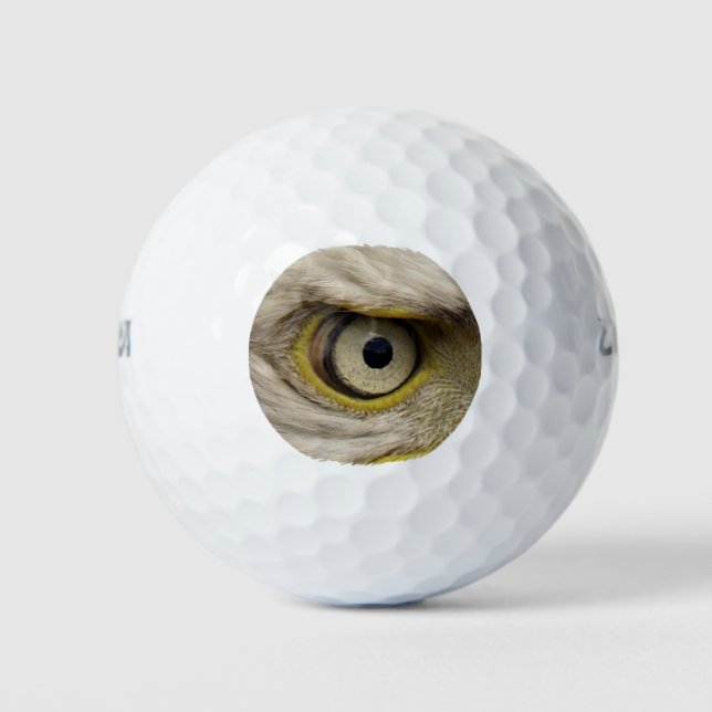 Balles De Golf Eagle Eye Raptor Funny Photo (Devant)