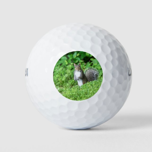 Balles De Golf Écureuil (Devant)
