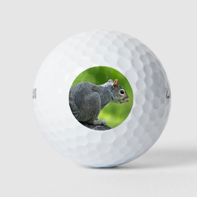Balles De Golf Écureuil (Devant)