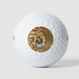 Balles De Golf Écureuil affamé
