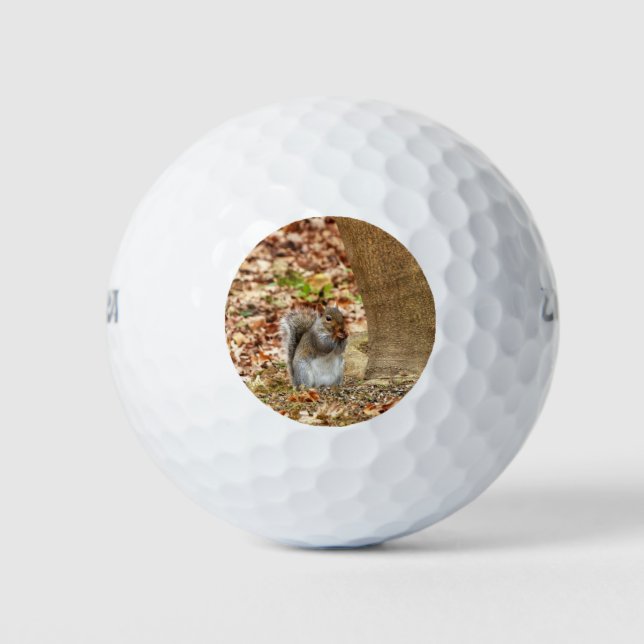 Balles De Golf Écureuil affamé (Devant)