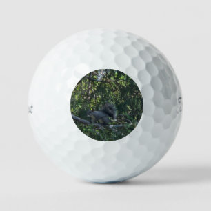 Balles De Golf Écureuil gris