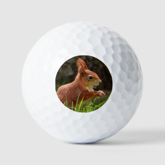 Balles De Golf Écureuil rouge joyeux (Recto)