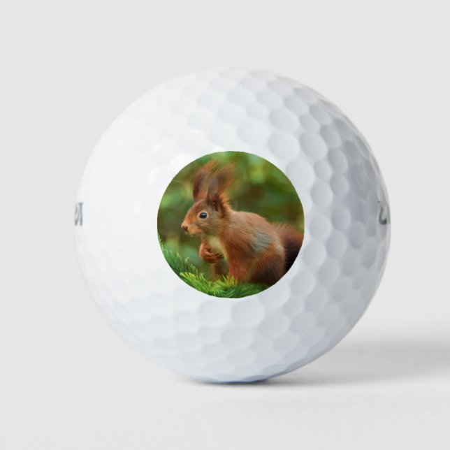 Balles De Golf Écureuil sur un arbre (Devant)