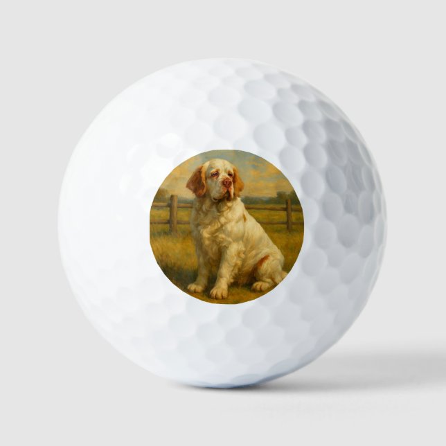 Balles De Golf Épagneul Clumber (Recto)
