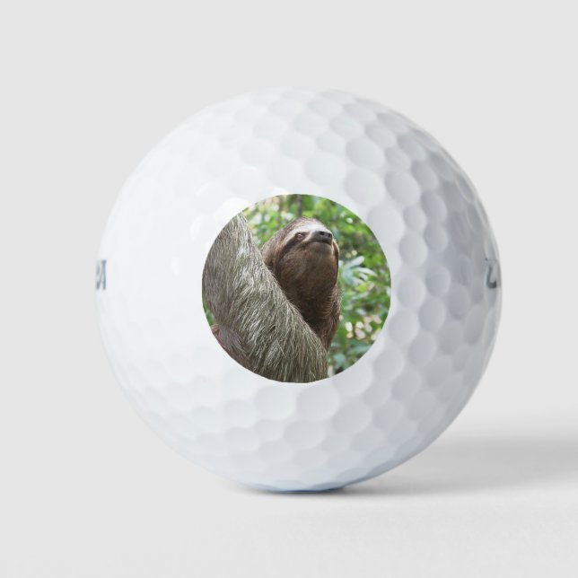 Balles De Golf Escalade Sloth (Devant)