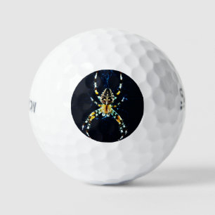 Balles De Golf European Garden Spider ssf gbcna