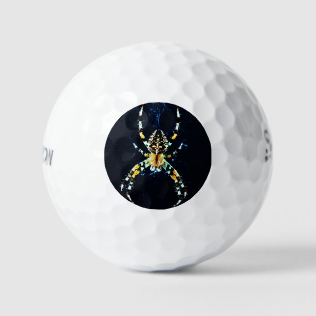 Balles De Golf European Garden Spider ssf gbcna (Recto)