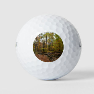 Balles De Golf Fall Creek à Laurel Hill State Park Pennsylvania