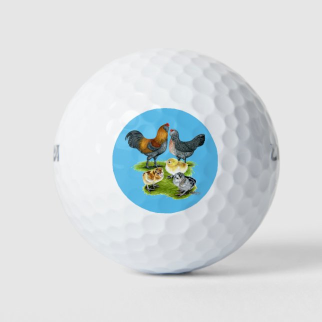 Balles De Golf Famille de poulets Ameraucana (Devant)