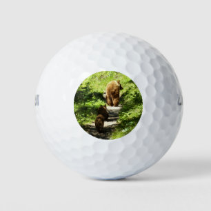 Balles De Golf Famille d'ours brun
