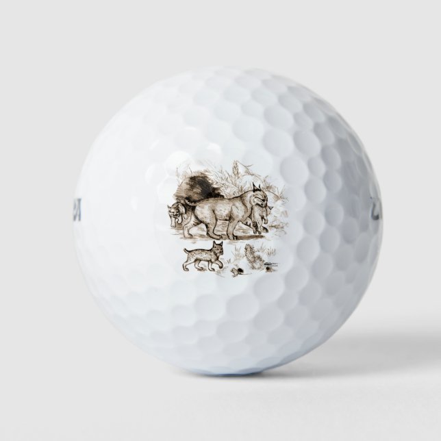Balles De Golf Famille du Lynx roux (Devant)