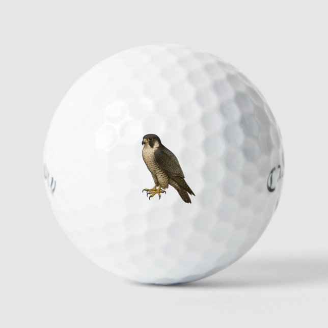 Balles De Golf Faucon migrant (Recto)