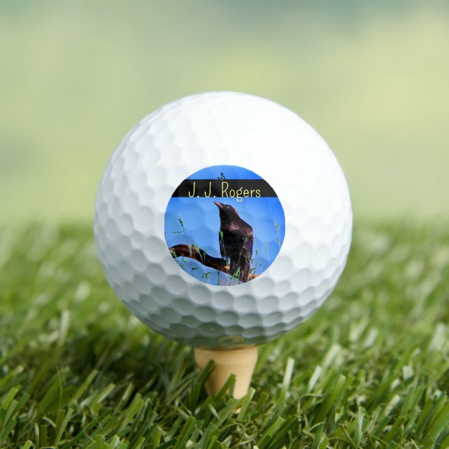 Balles De Golf Faune (3 pack) Oiseau corbeau Personnalisé (T-shirt Insitu)