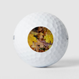 Balles De Golf Feuilles de Érable Tombées Jaune Automne Nature