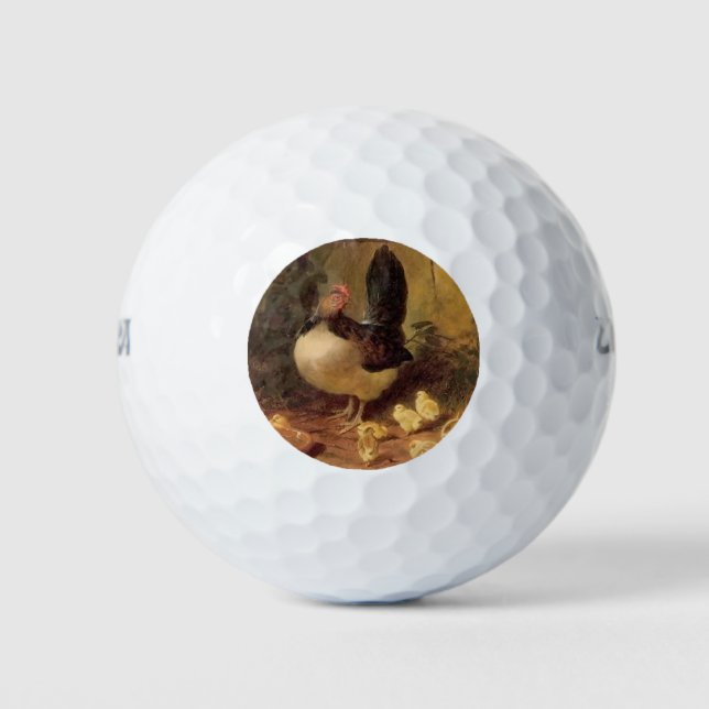 Balles De Golf Fier Mère Hen et ses poussins (Poulets Bébés) (Devant)